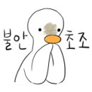 대림가방신발 - 영등포구 디지털로37나길 13 | 대림가방신발