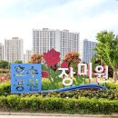한강신도시호수공원 | 김포 데이트 코스 추천 가볼만한곳 한강신도시 호수공원 장미원 후기