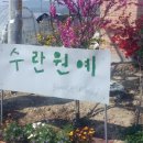 수란농장 이미지