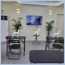 그린펫그루밍 이미지