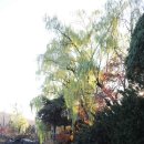 마장공원 이미지