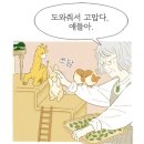 어플라워어데이