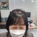 김호증모 가발 수정 헤어