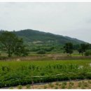 예천목장 이미지