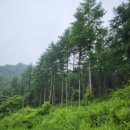 오이코스테이 이미지