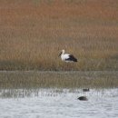 J0345 네이버블로그