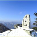 ♣2/20(토)노인봉과 오대산 비로봉 2산과 또는 오대산 종주 눈꽃산행 이미지