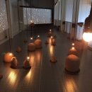 플라스틱 신화들 이미지