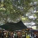 성미목장 이미지