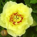 마음의집 이미지