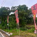 테마파크 | 니지모리스튜디오 가을축제시즌 일본테마파크 솔직후기