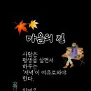 오복 Daum카페