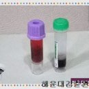 시아동물병원 이미지