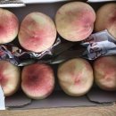 풍년농약마트 이미지