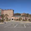 경동대 가는길 이미지