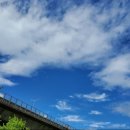 골드니스 이미지