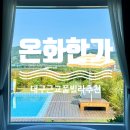 대구 근교 풀빌라 청도 감성숙소 수영장 추천 온화한가 온송 후기