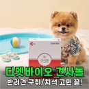 디펫 | 반려견 입냄새 고민 끝 디펫바이오 견사돌 2주 실사용 후기