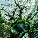 바이오플래닛 | 🌿 두바이 그린플래닛 예약 및 이용 총정리 🐒 가격, 할인, 후기, 꿀팁까지!