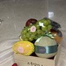 과일파는총각들