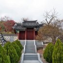 의정공 김국광사당 이미지