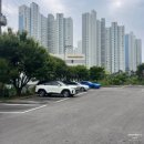 유폴 애견셀프목욕, 애견미용, 애견용품 직영점 이미지