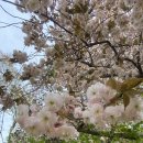 이든목장 이미지