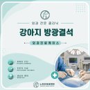 동행동물병원 - 북구 설죽로 298 | 노원구 상계동 수술전문 동물병원 - 강아지 혈뇨 방광결석 수술 후기, 결석 관리 방법에 대해서