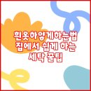 우아한세탁 이미지