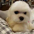 애플유치원 이미지