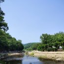 GR(장흥군)-[부유로]-상-5 | 양주 장흥 그랜드유원지 안녕벌레야!