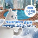 [용인] ★투파크 얼리버드 특가★ 캐리비안베이 종일권+에버랜드 오후권 (24/12/6~25/3/3) 이미지