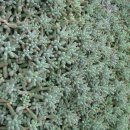 광영농장 이미지