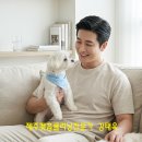 [저자 칼럼] 대한민국 최초 펫홈클리닝 강아지 냄새 제거와 요산 분해의 과학적 해결 방법