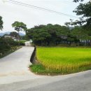 벌촌천황봉마을 이미지