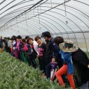 구미시농업기술센터 이미지