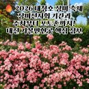 동명초등학교 | 2026 대청호 장미 축제 장미전시회 기간과 주차부터 포토존까지! 대전 가볼만한곳 핵심 정보