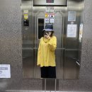 으이구 이눔아 ᕦ(ò_óˇ)ᕤㅣ