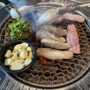 유레카목장 | 2월 겨울 제주도 여행