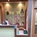 펫유동물병원 이미지