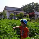 광탄농장 이미지