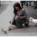 돈이랑오리 이미지