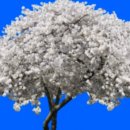 세계유산코스 이미지