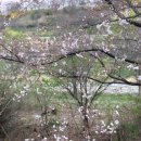 멋 글씨 캘리그라피 이미지