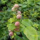 장능농장 이미지