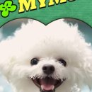 부산강아지분양 마이뭉 24시 이미지