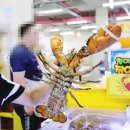 영흥도 수산시장 영흥수협회센터 제철 농어 회포장 6번 명식이네