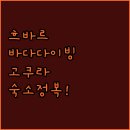 아이와 함께하는 흐바르 바다 다이빙 스팟 정보 및 고쿠라 가성비 좋은 숙소 위치 장점 후기 정리