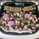 블랑-메이 이미지