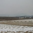 아포농협주유소 이미지